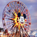 Amusement Parks (Disneyland, Legoland, Sea World, etc.)