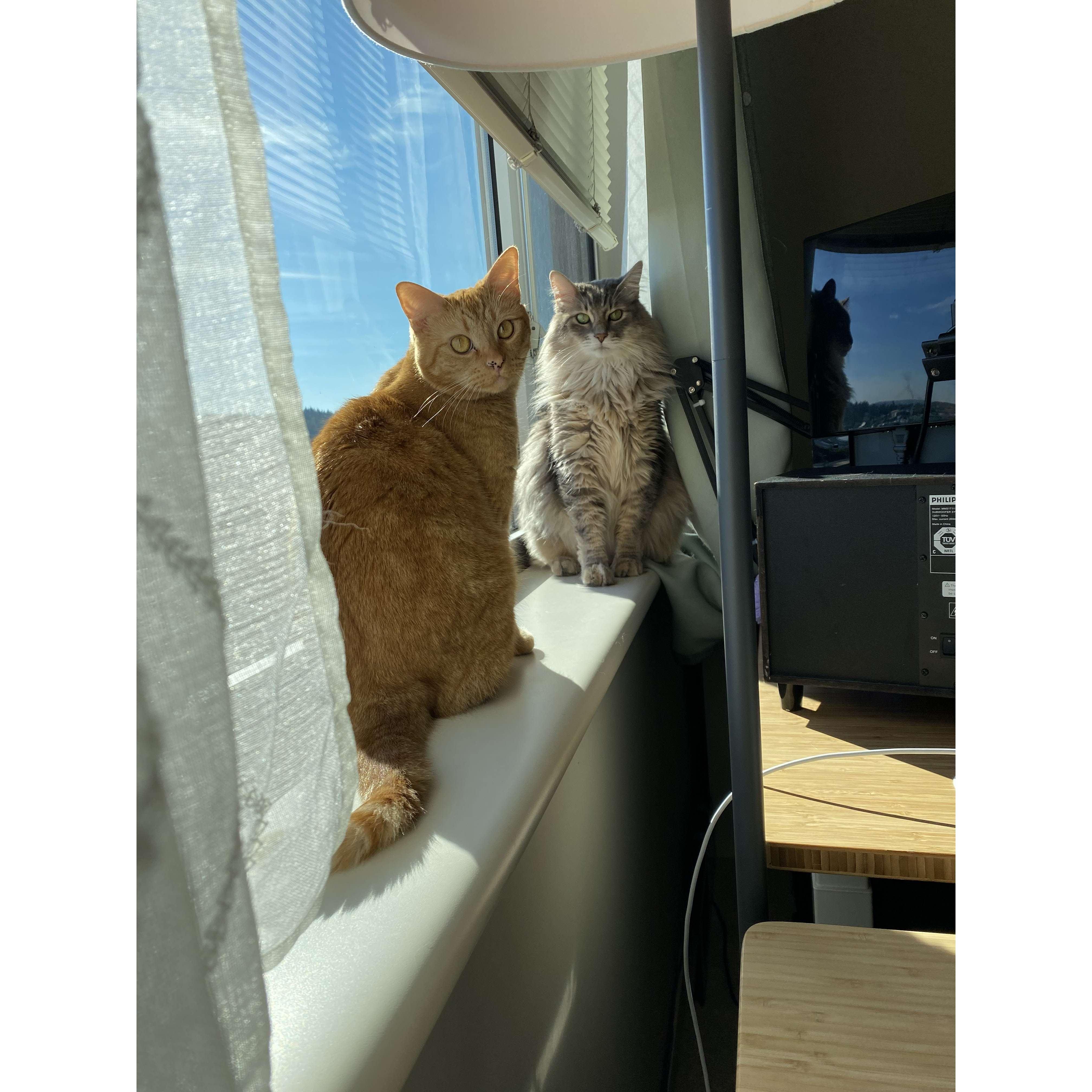 Ginger and Monster, frienemies for life