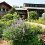 North Carolina Botanical Garden