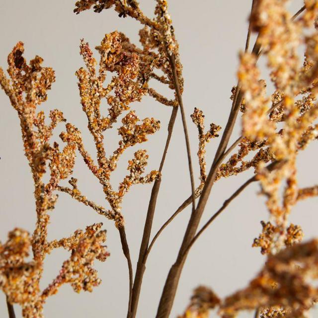 Autumn Spray