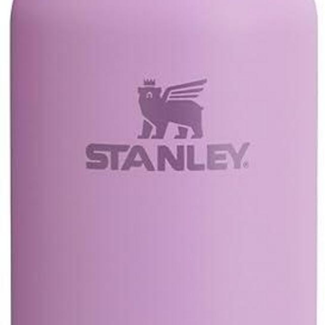 STANLEY All Day Slim Bottle 20-34 OZ | Twist off Lid with Leakproof Seal | Slim Design for Travel & Gym | Insulated Stainless Steel | BPA-Free