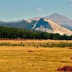 Tuolumne Meadows