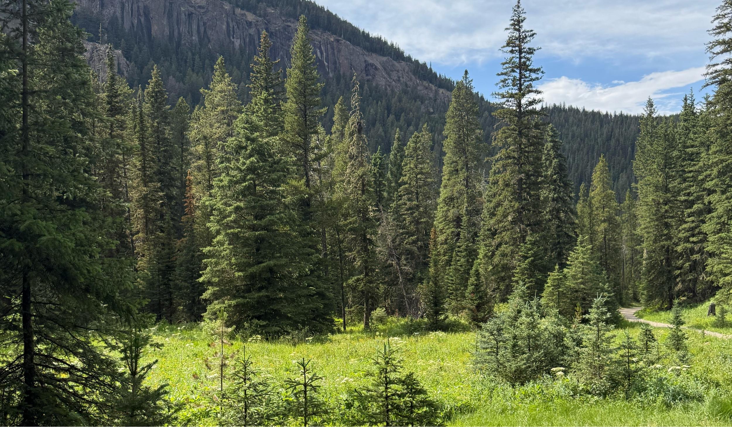 The Wedding Website of Delaney Matasic and CJ Sembaluk