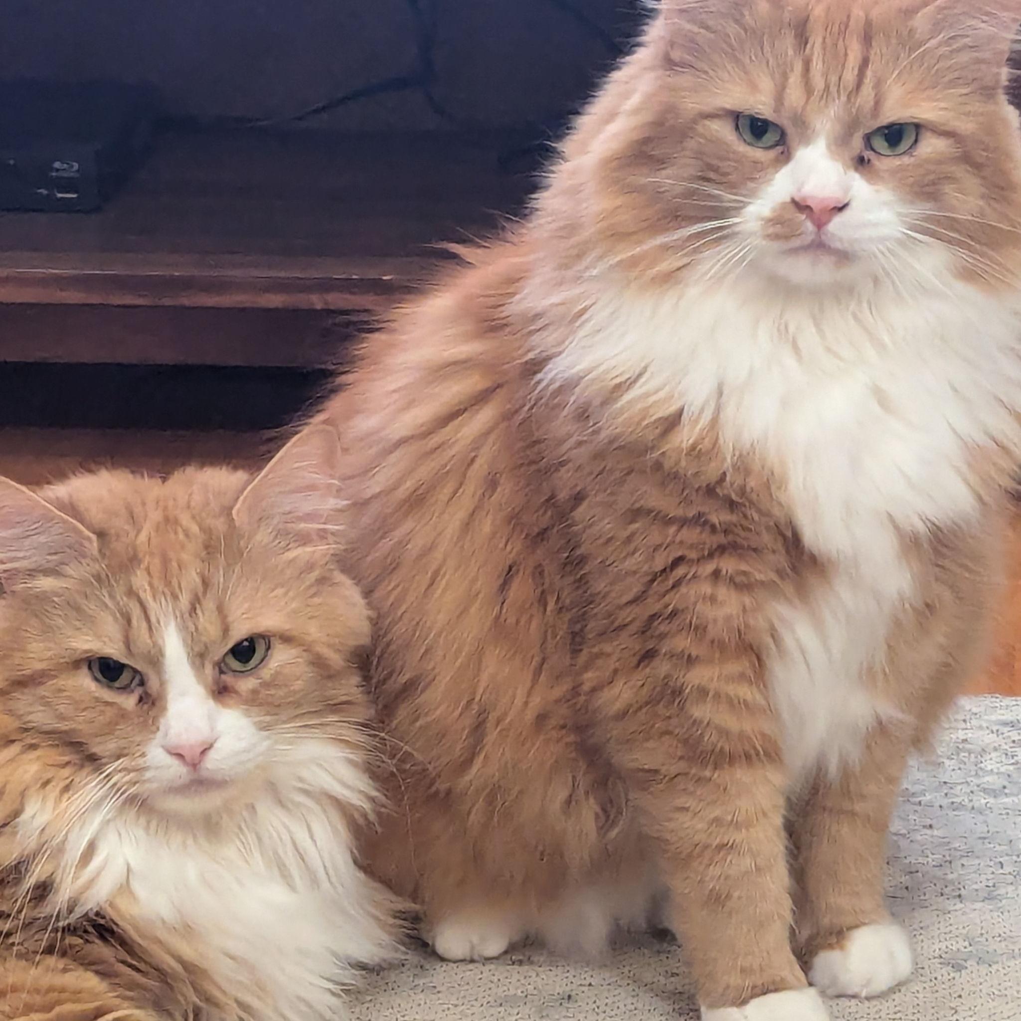 Sunny and Jack