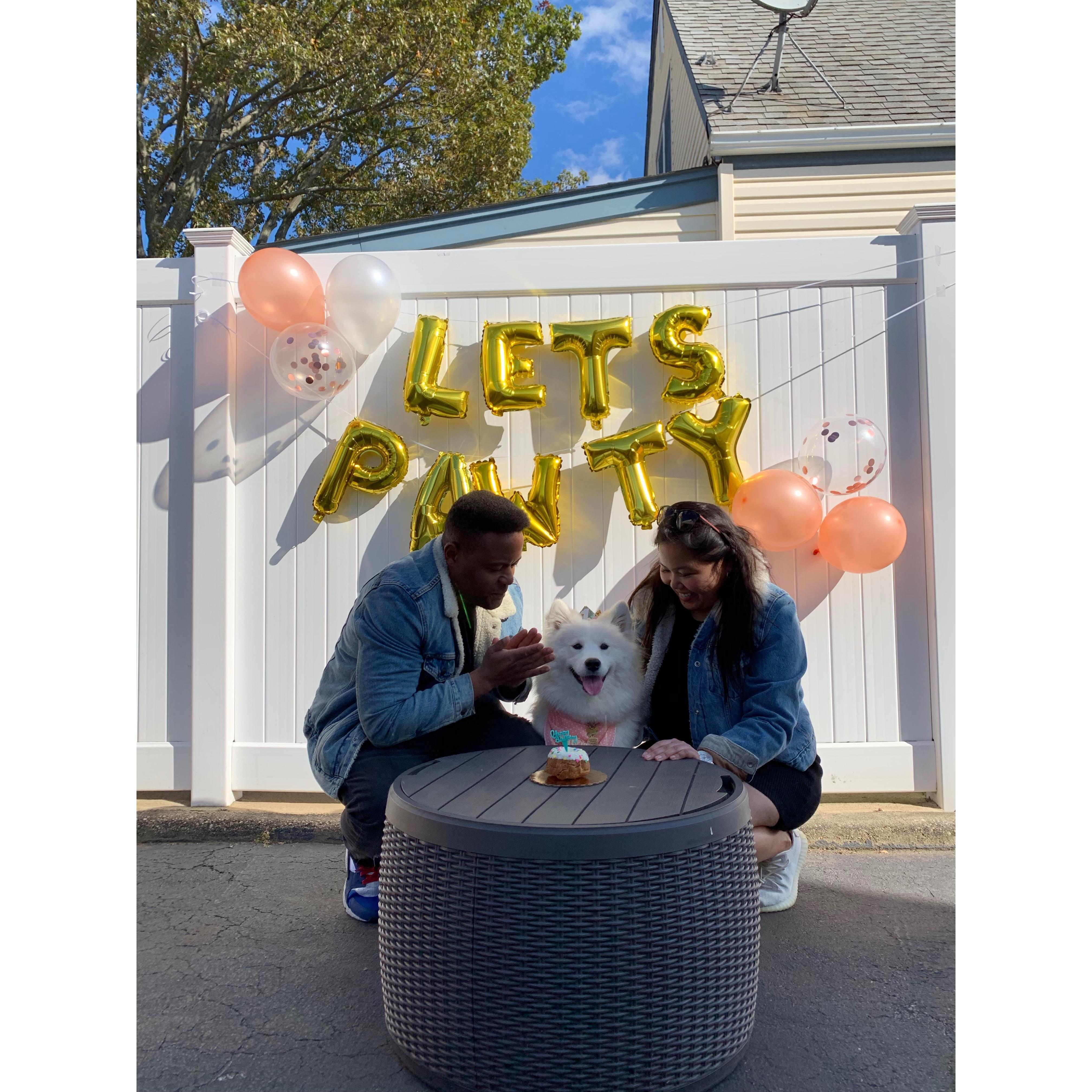 Nova's First Birthday // November 2019