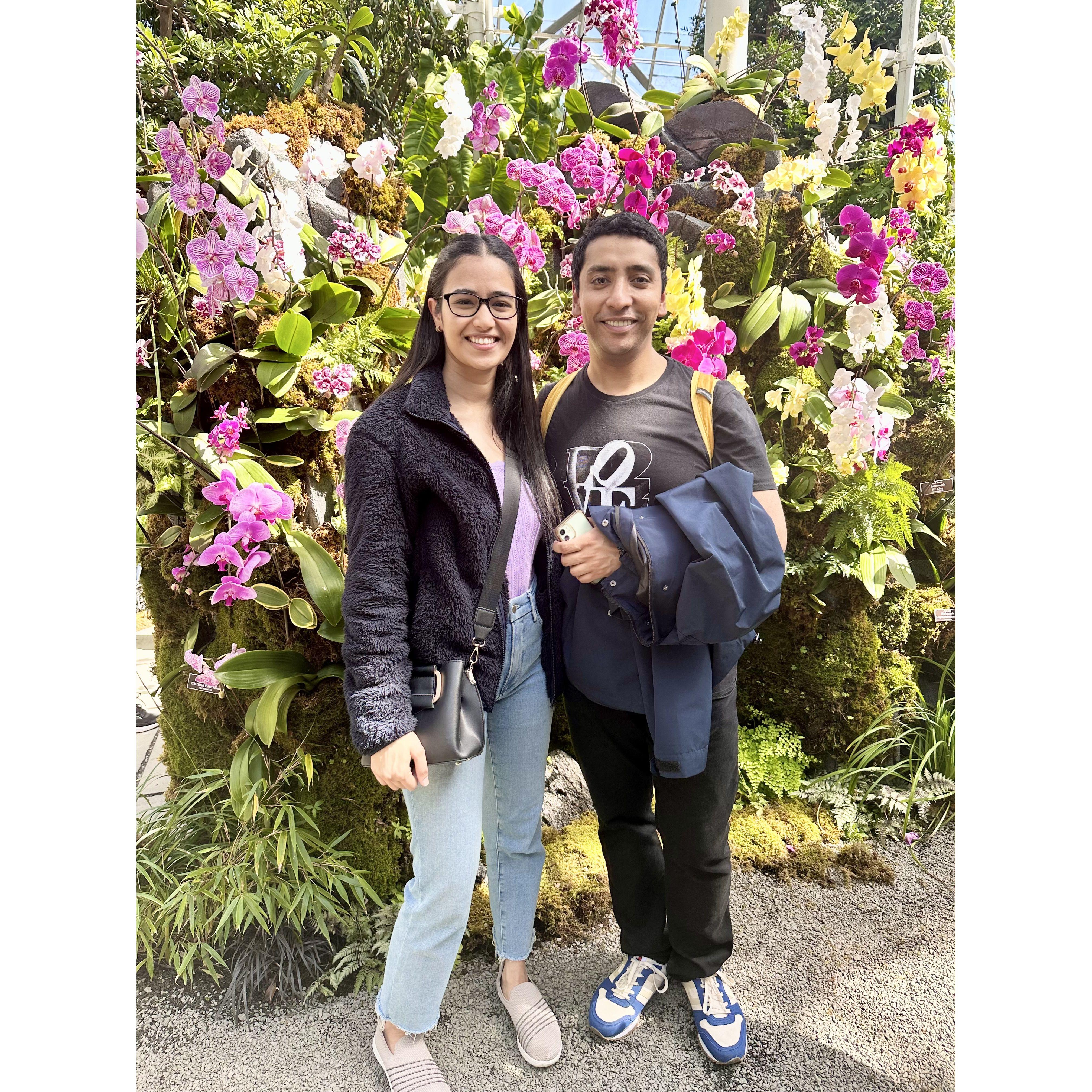 Who knew that the fastest way to heat things up in late winter was to be surrounded by Orchids at the New York Botanical Garden.