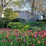 Cheekwood
