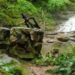 Parfrey's Glen State Natural Area