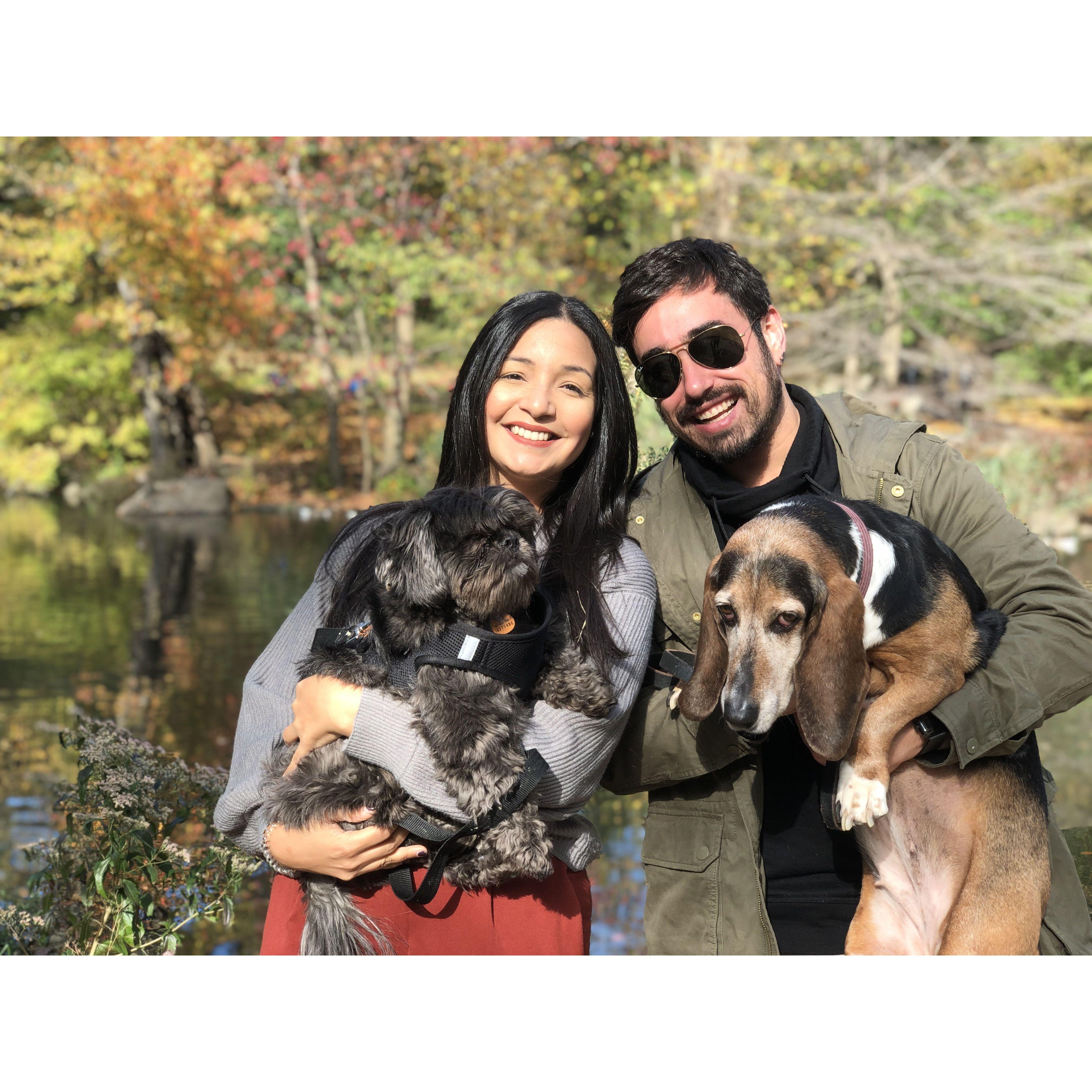 with Niko & Gracie