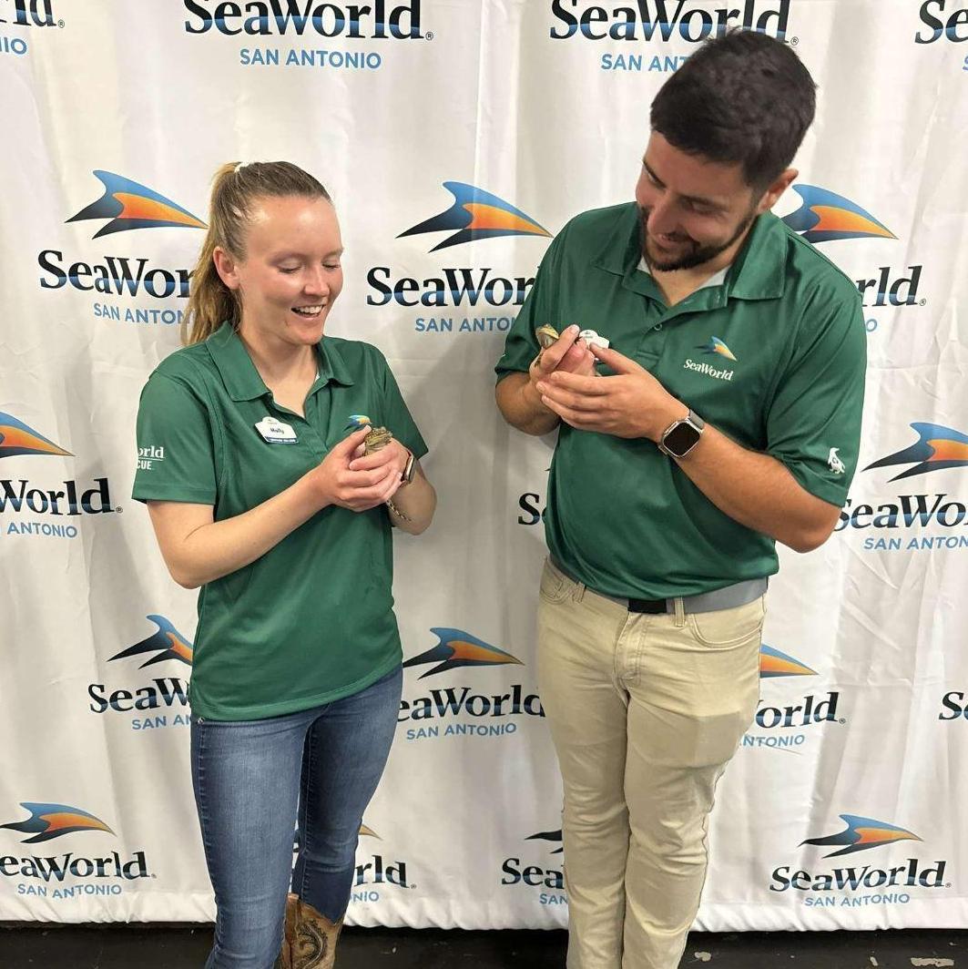 Yes, those are baby alligators we are holding