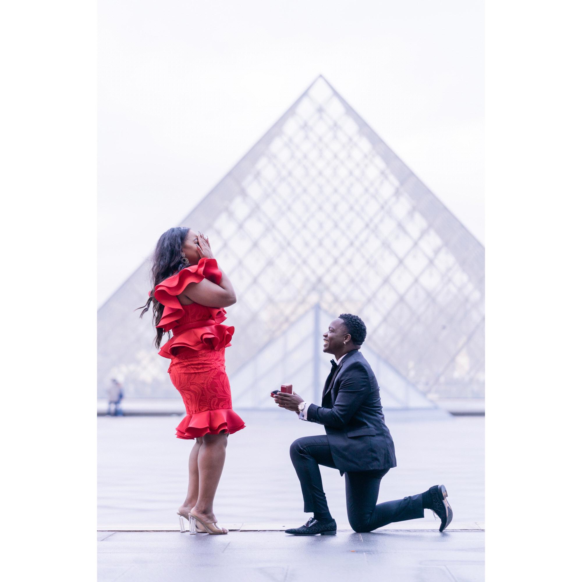 Proposal at The Louvre