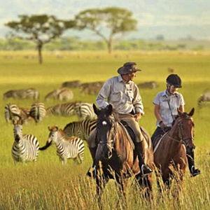 Honeymoon Safari Horseback Riding Adventure
