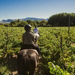 Horse Riding / 騎馬