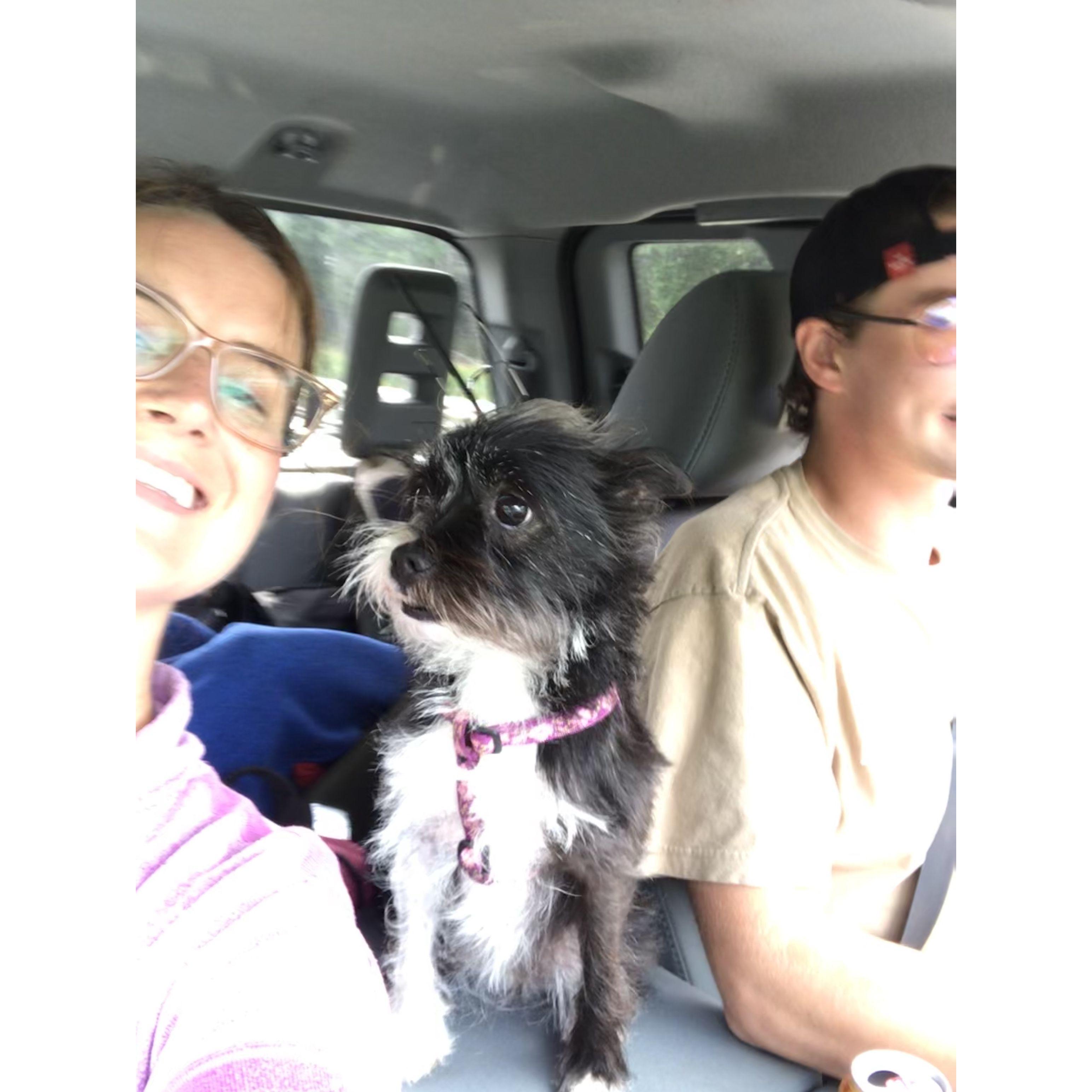 Driving up north to camp with Pepper 2020