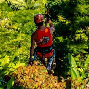 8-Line Zip Line Jungle Adventure!