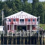 Young's Lobster Pound