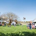 Truro Vineyards