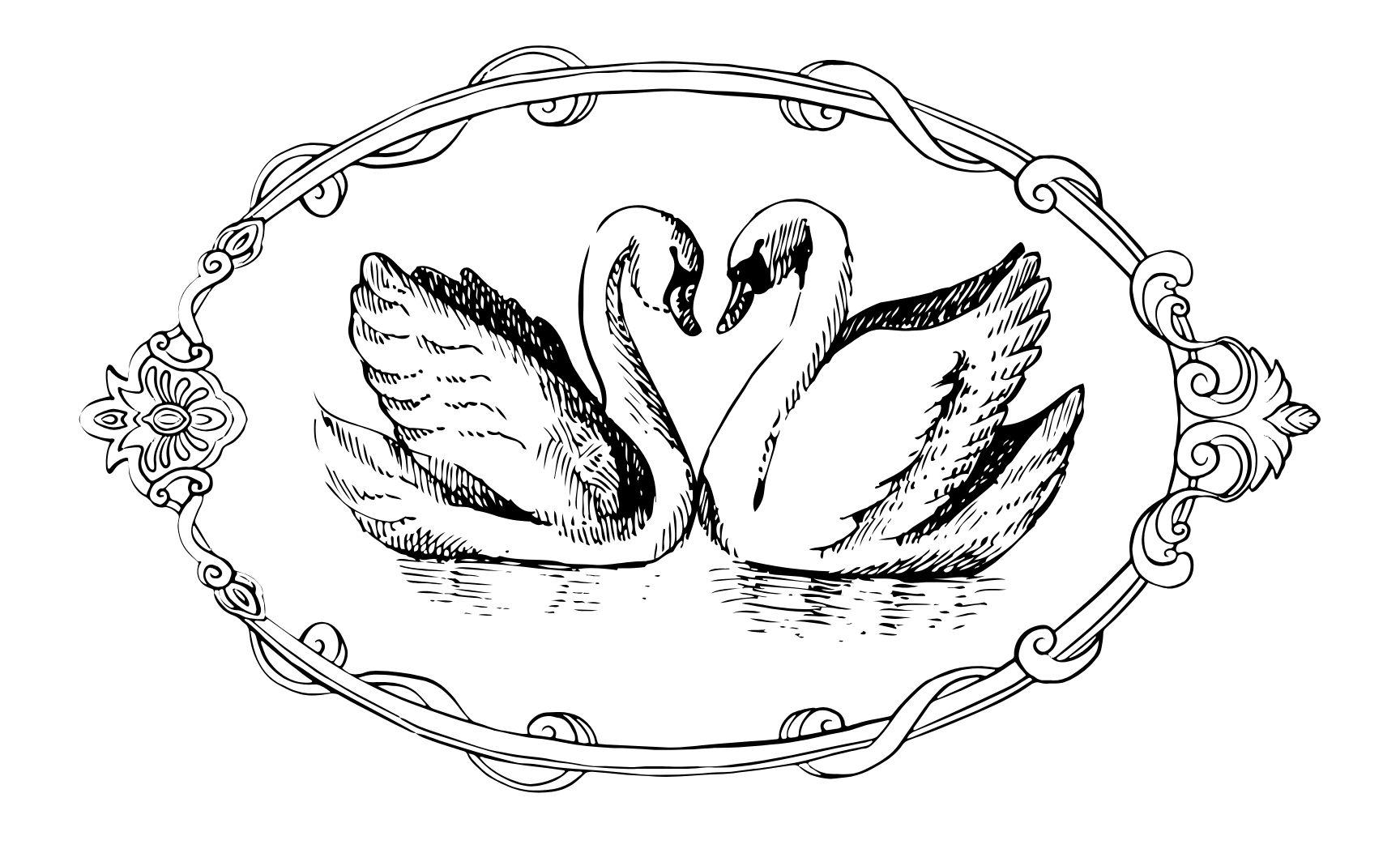 The Wedding Website of Tara Welliver and Colby Sangrey