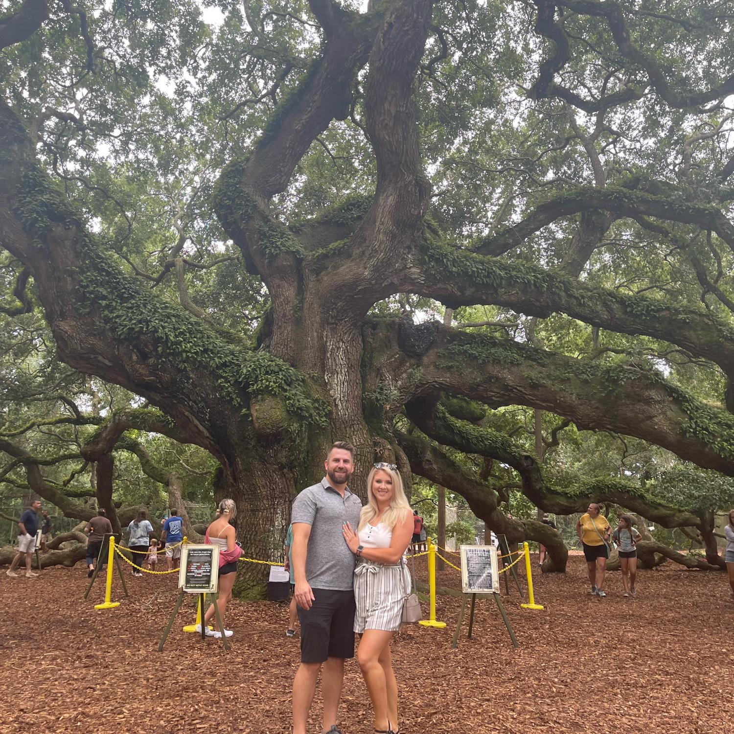 400 year old Oak Tree, Charleston 2021
