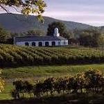 Barboursville Vineyards