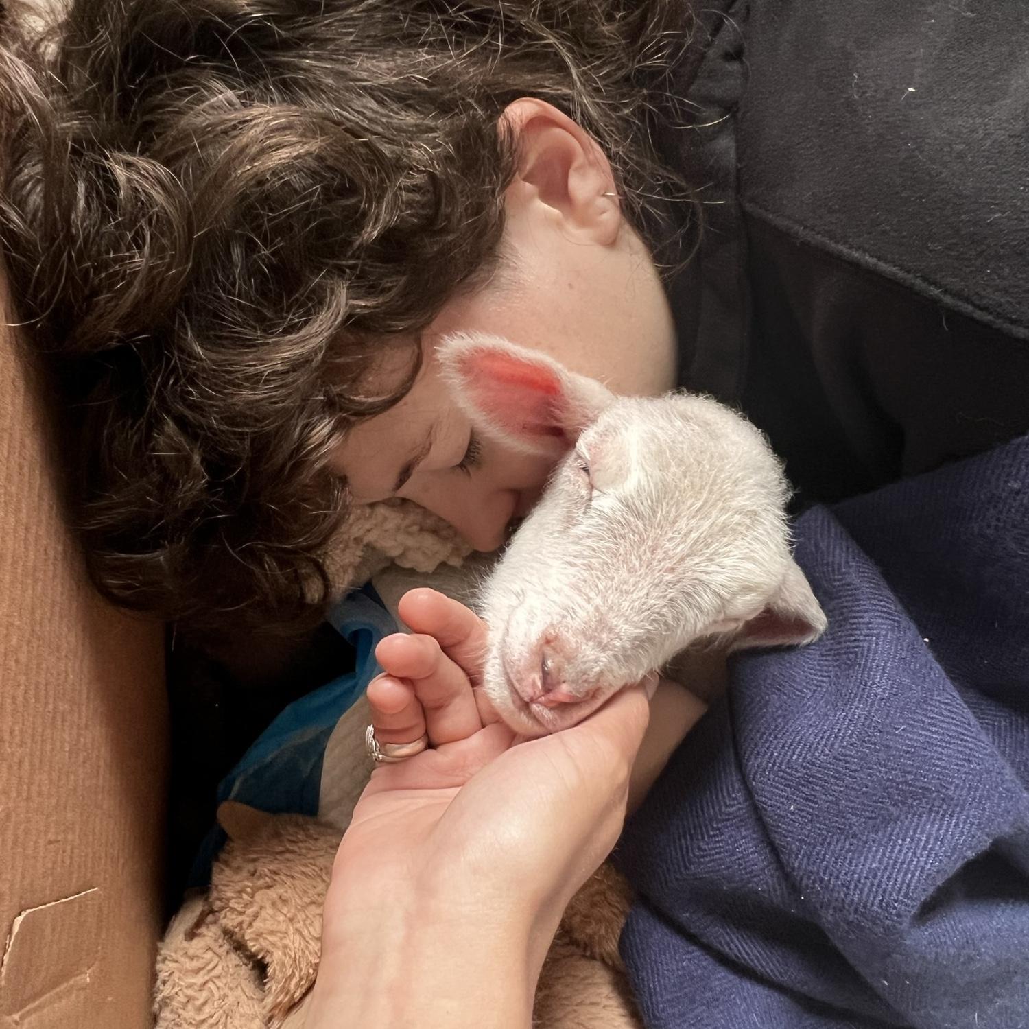 That time we raised a baby sheep 🐑
 (We miss you, Stevie!)