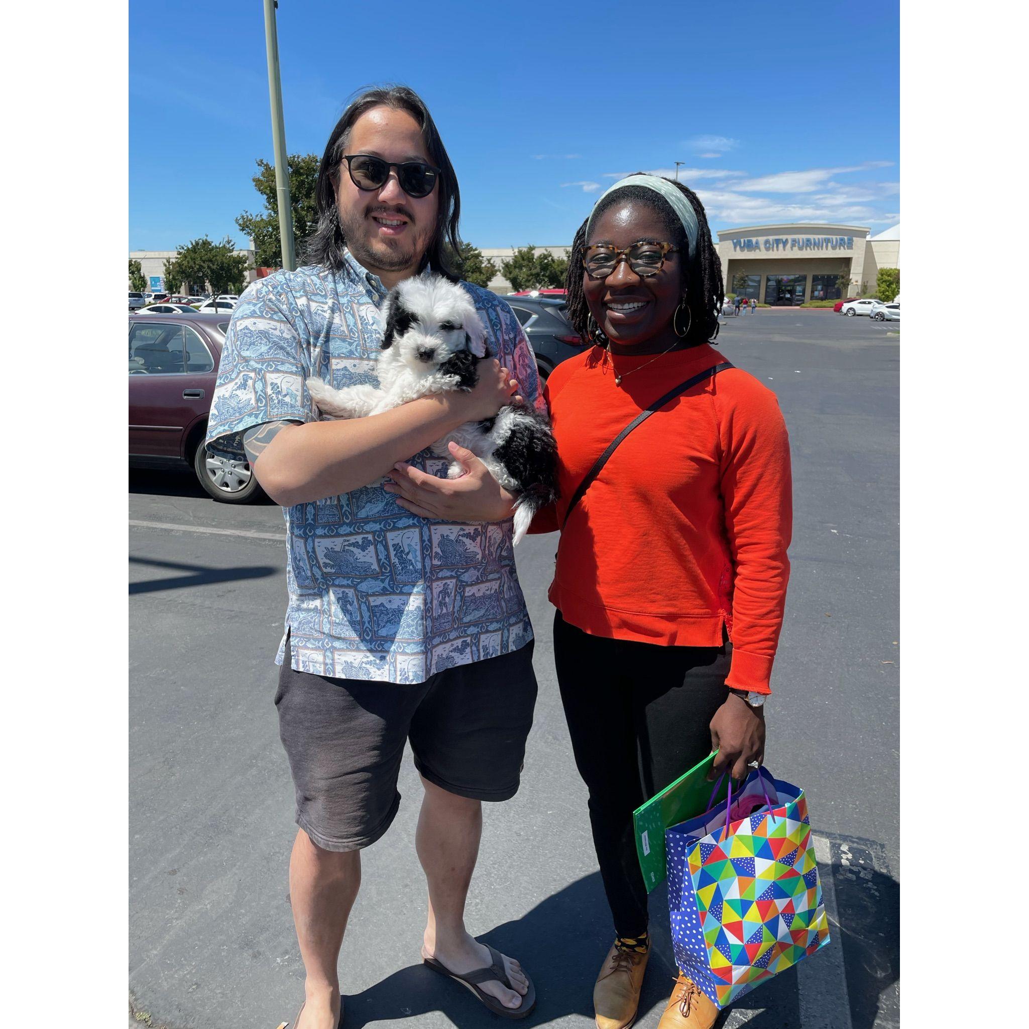 Yuma en route to her new home!