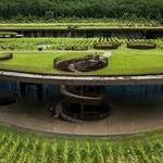 Antinori nel Chianti Classico