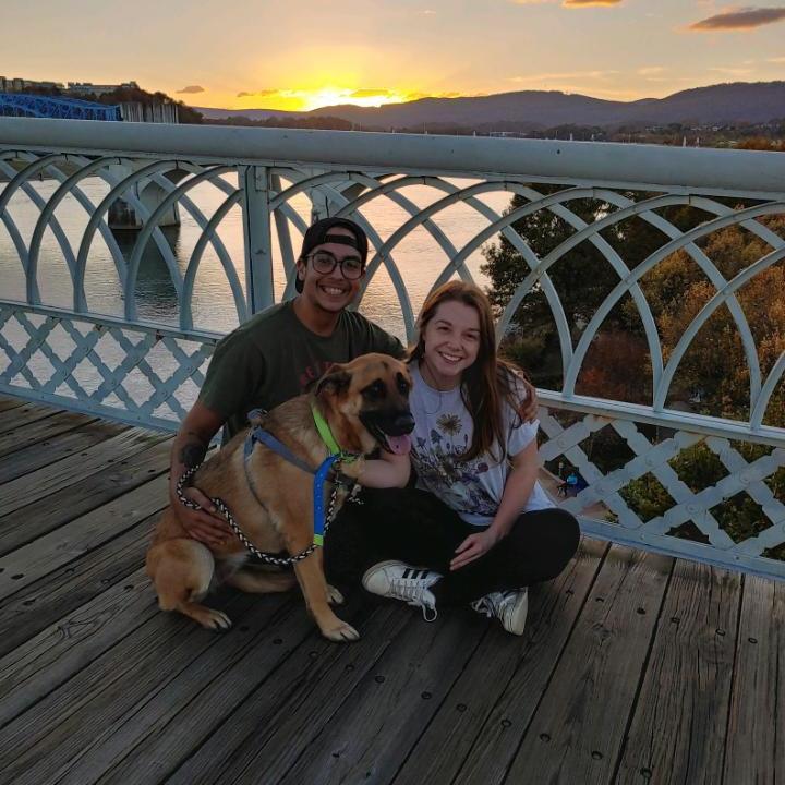 Growing our family!