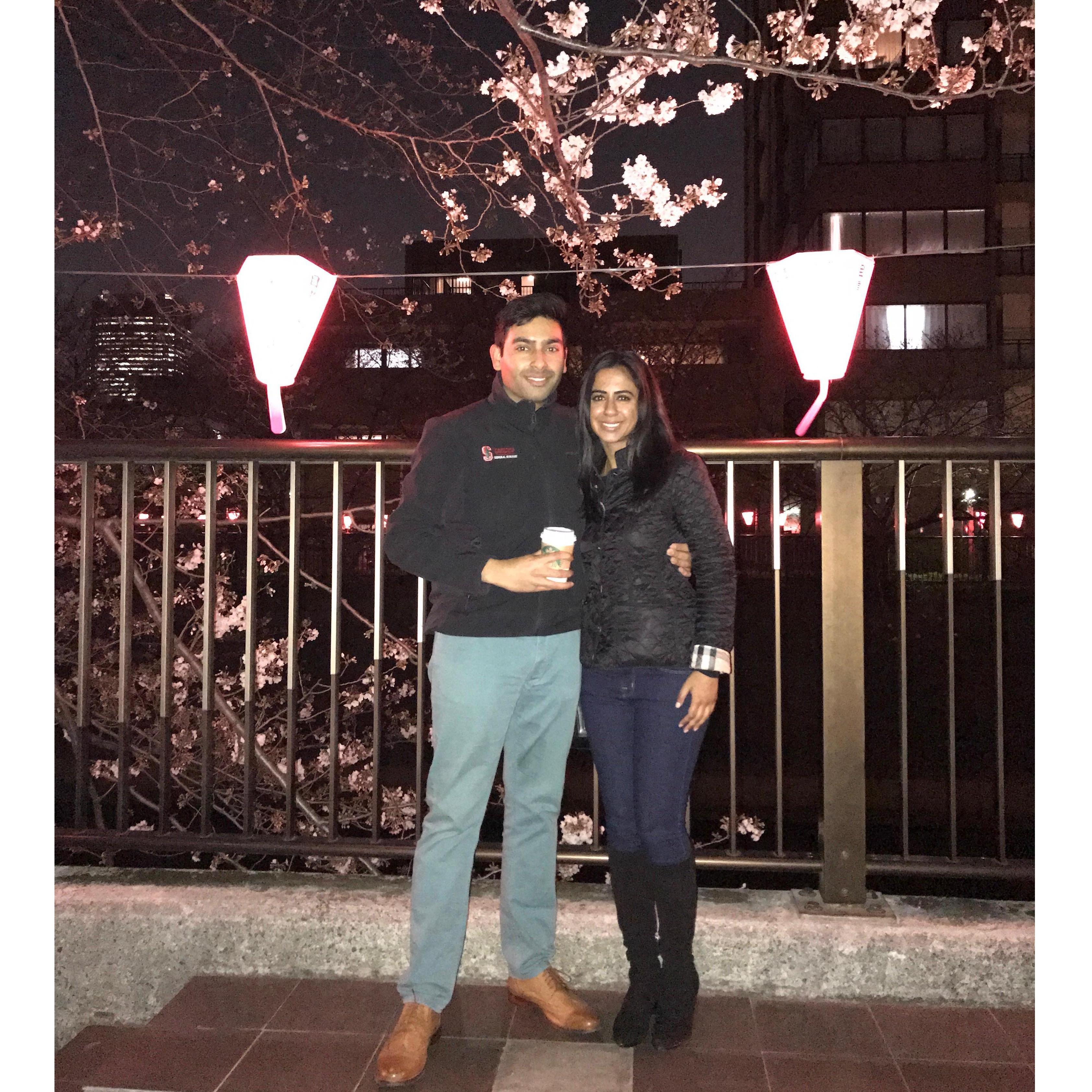 Raja and Ruby participating in Hanami in the Sakura season  #japanniversary17