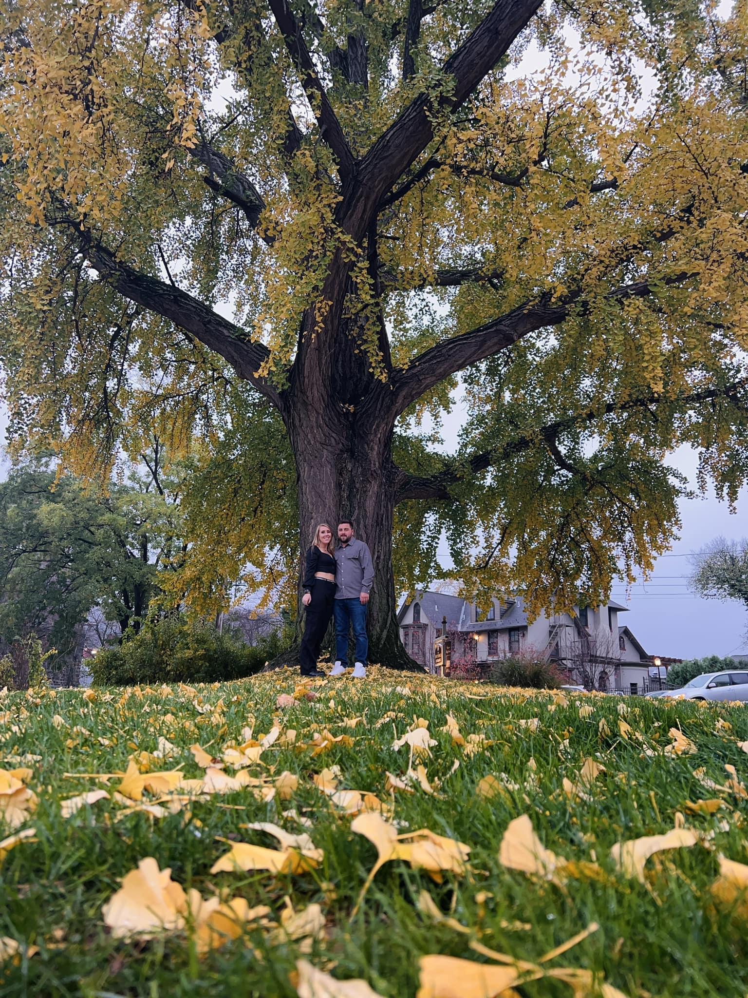 The Wedding Website of Amanda Dickson and Corey Teeple