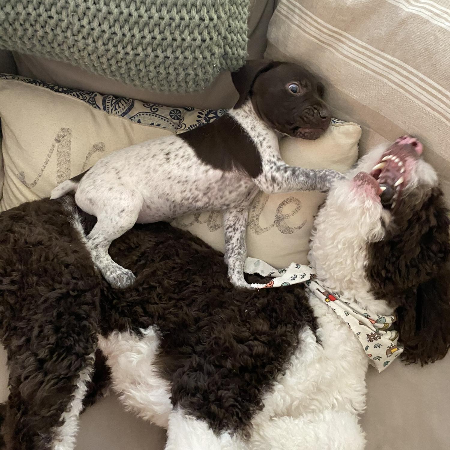 Besties from the start?