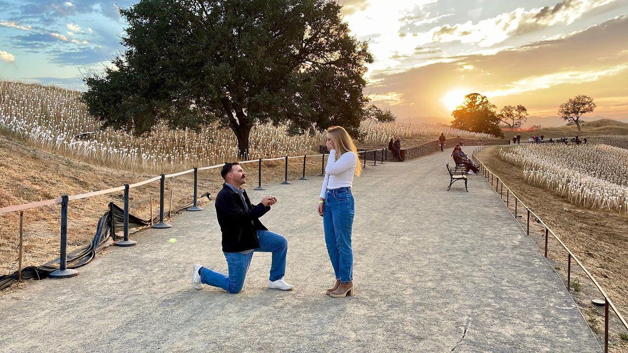 The Wedding Website of Alyssa Young and Matthew Bennitt