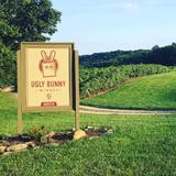Ugly Bunny Winery