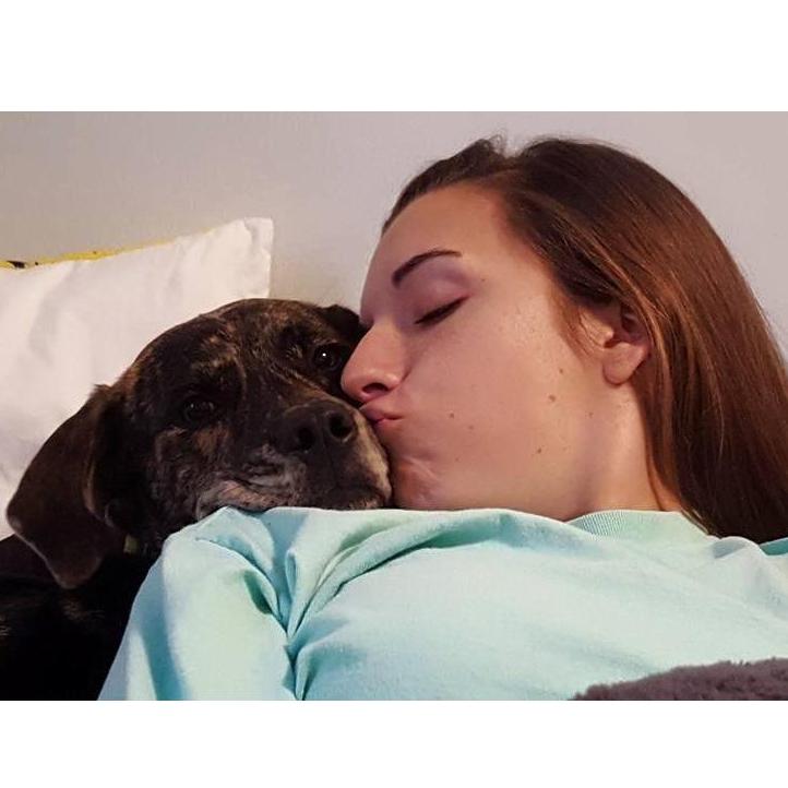 A giant love bug