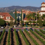 South Coast Winery