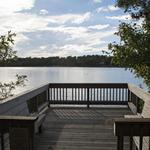 Little Buttermilk Bay Woods