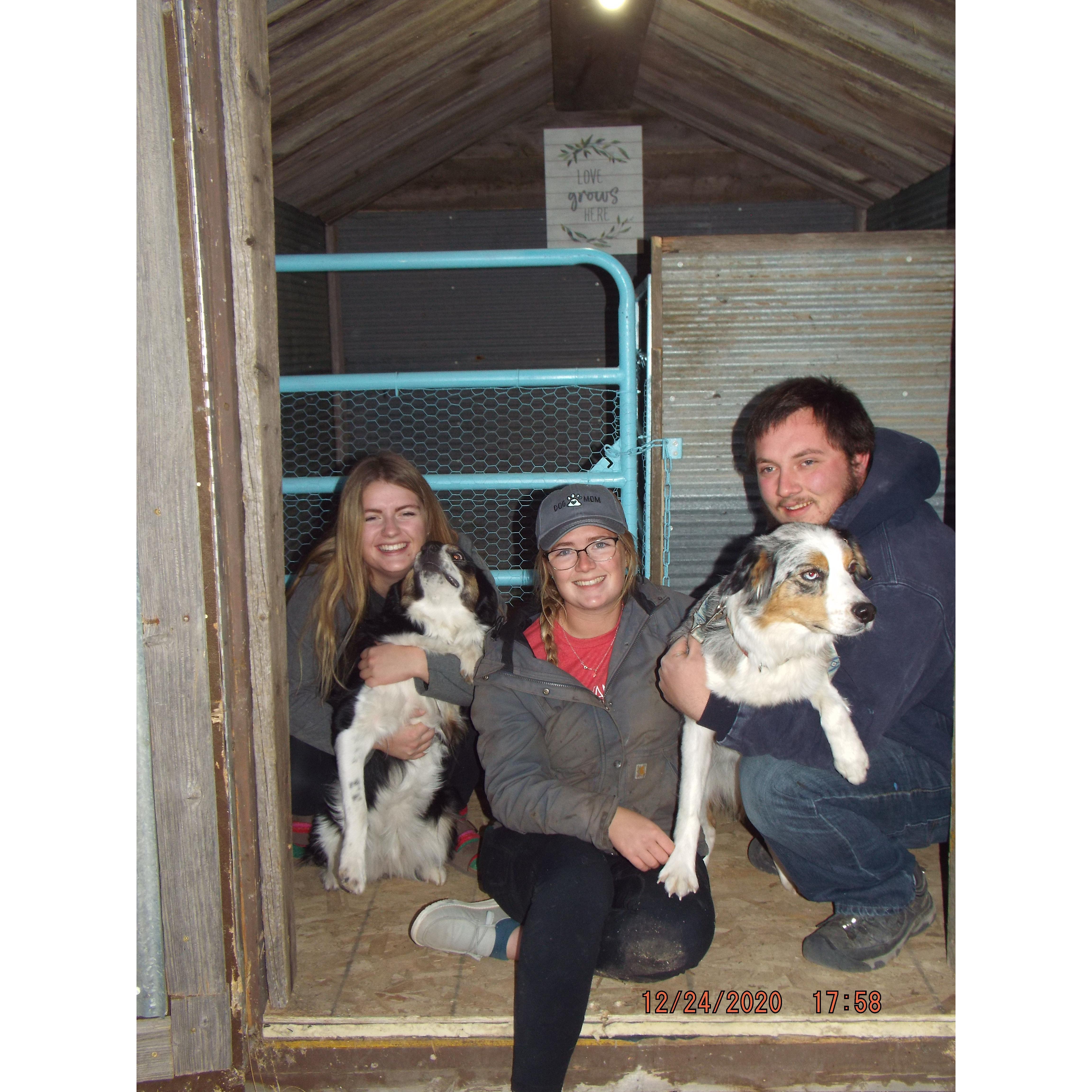 Brady, Bailey, Jordan, Pepper and Laney in the dog shed that they put together for Christmas