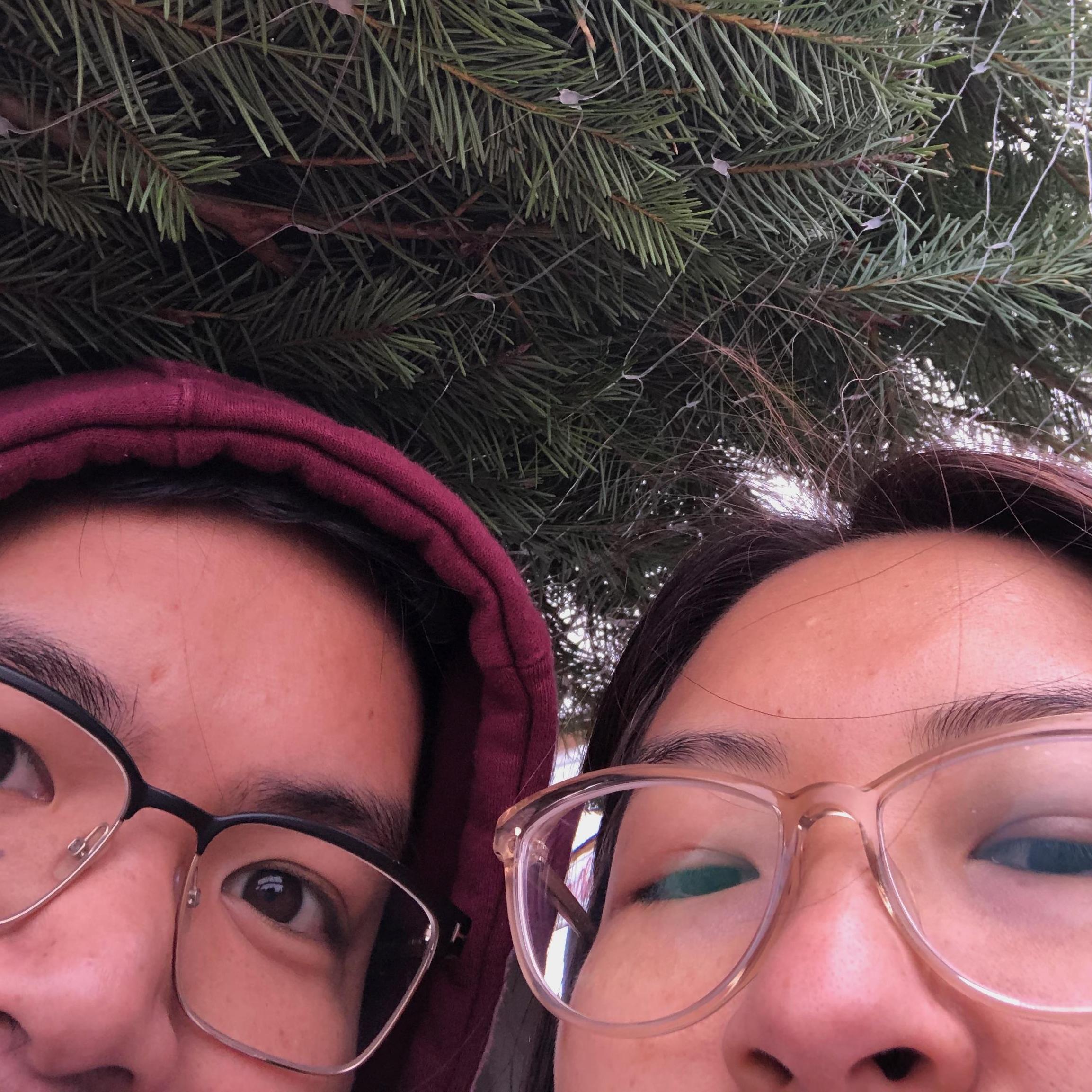 Four Winds Christmas Tree Farms, CA - 2019
-Annual Christmas tree-