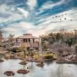 Japanese Tea Garden
