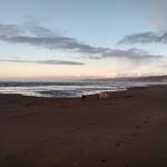 Dillon Beach
