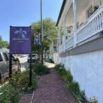Avalon Cafe