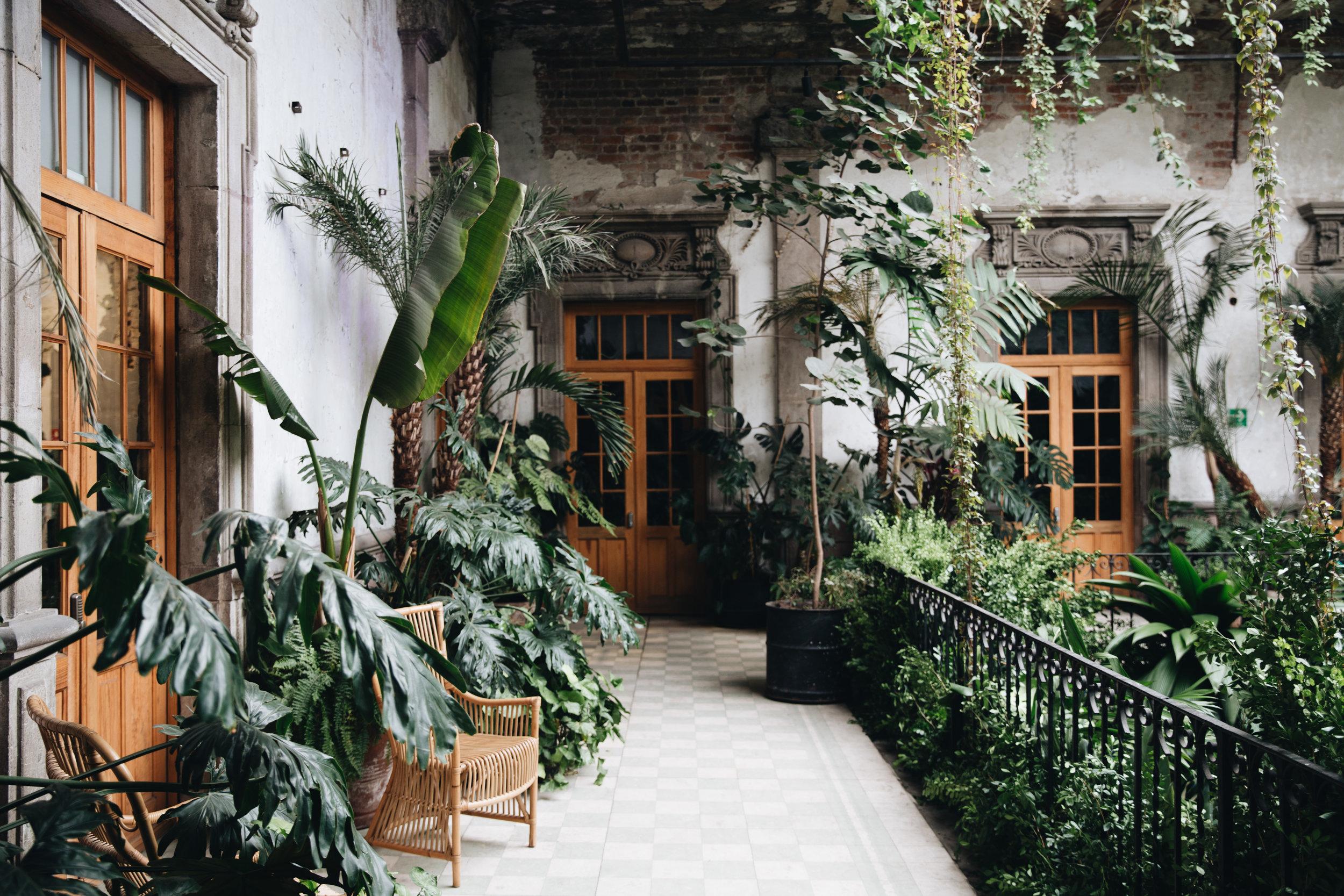 The Wedding Website of Isabel Selan and Joey Selan