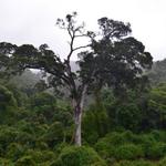 Natures Valley