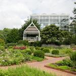 The State Botanical Garden of Georgia