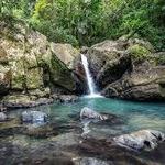 El Yunque National Forest