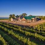 Ontario Wineries