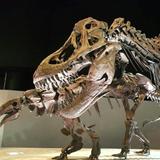 Houston Museum of Natural Science