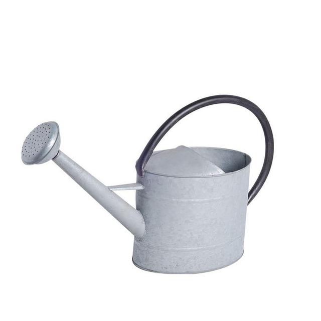 Aged Zinc Watering Can, 1.3 gallon