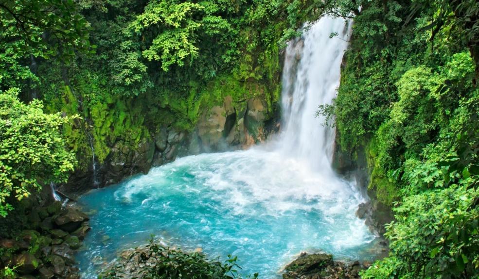 d2c83bef-bc20-482e-986c-93434ee1459f