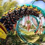 Busch Gardens